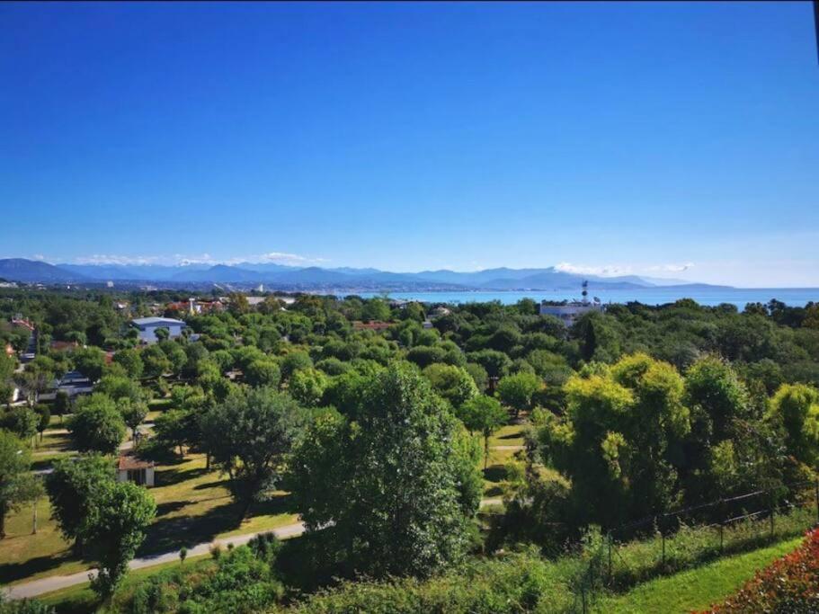 Superbe Appartement, Piscine, Vue Mer Et Montagnes Antibes Exterior foto